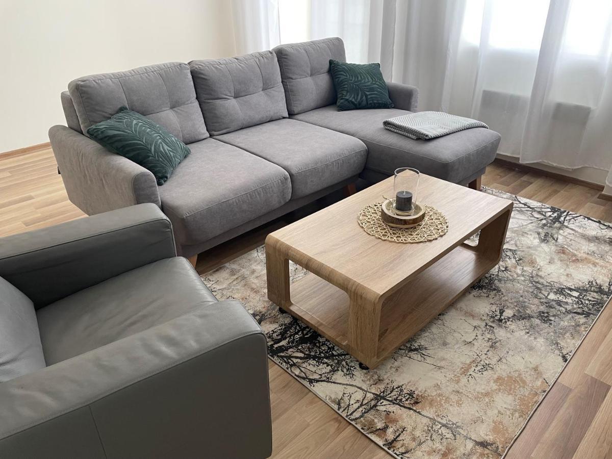 Apartman Studnice Na Vysocine 노베 메스토 나 모라베 외부 사진
