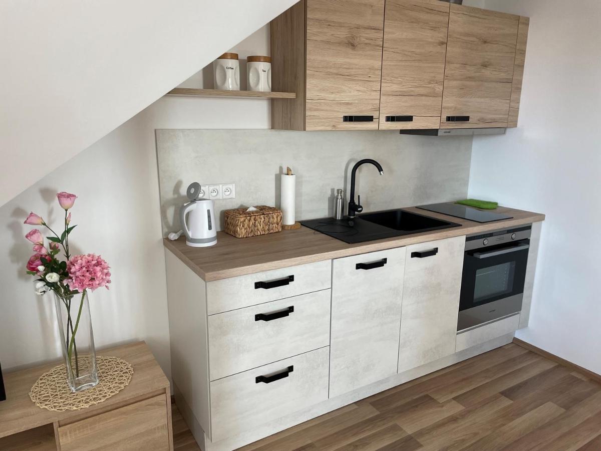 Apartman Studnice Na Vysocine 노베 메스토 나 모라베 외부 사진